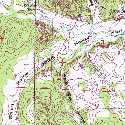 Topographic Map of White Oak Hollow, AL