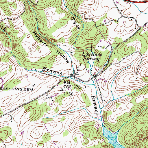 Topographic Map of Hyberry Hollow, TN