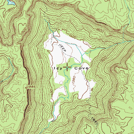 Topographic Map of Icy Cove, TN