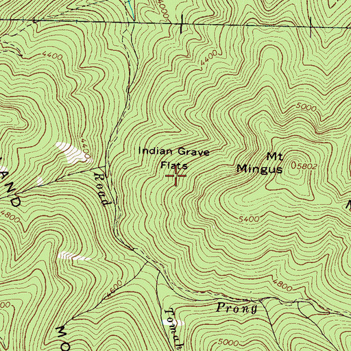 Topographic Map of Indian Grave Flats, TN