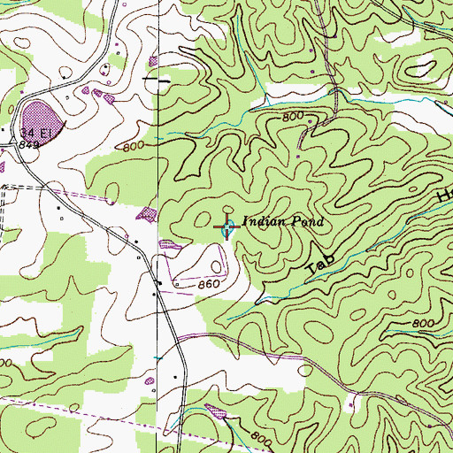 Topographic Map of Indian Pond, TN