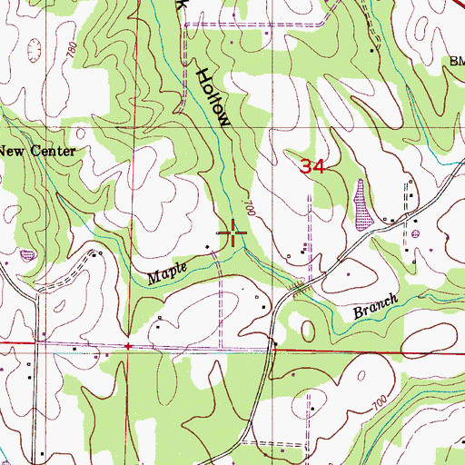 Topographic Map of Whiteoak Hollow, AL