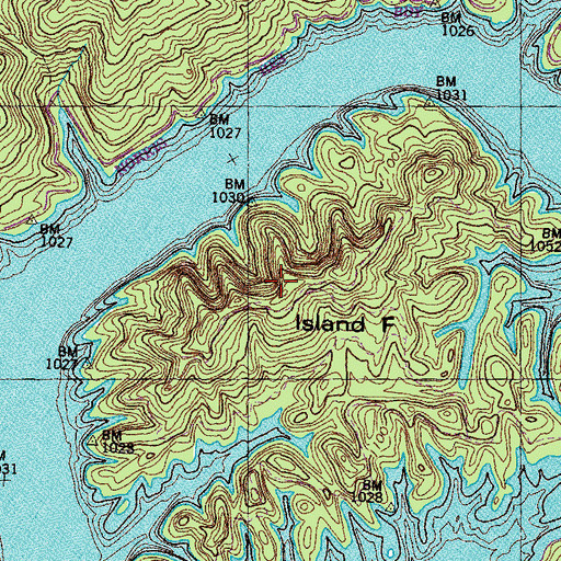 Topographic Map of Island F, TN