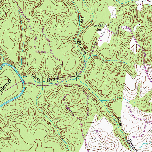 Topographic Map of Ivy Branch, TN