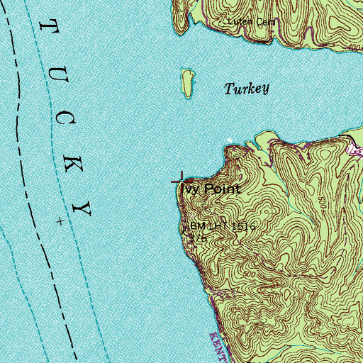 Topographic Map of Ivy Point, TN