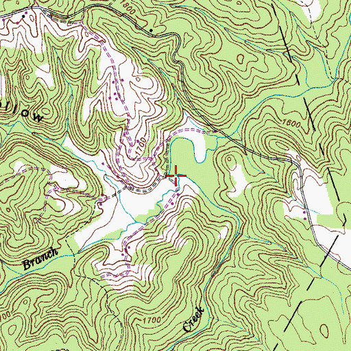 Topographic Map of Jack Branch, TN