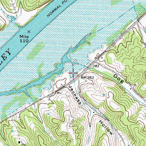 Topographic Map of Jackass Hollow, TN