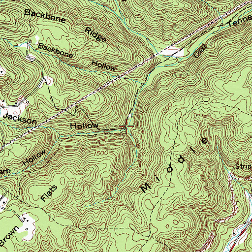 Topographic Map of Jackson Hollow, TN