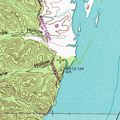 Topographic Map of Jane Hollow, TN