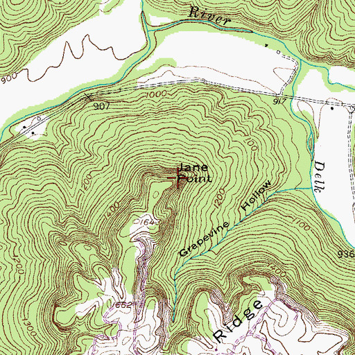 Topographic Map of Jane Point, TN