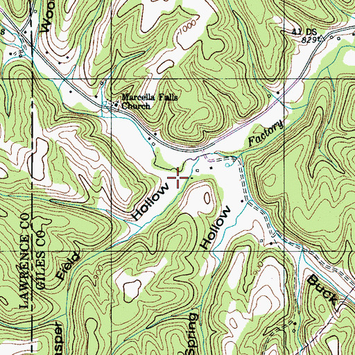 Topographic Map of Jasper Field Hollow, TN