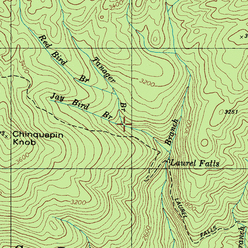Topographic Map of Jay Bird Branch, TN