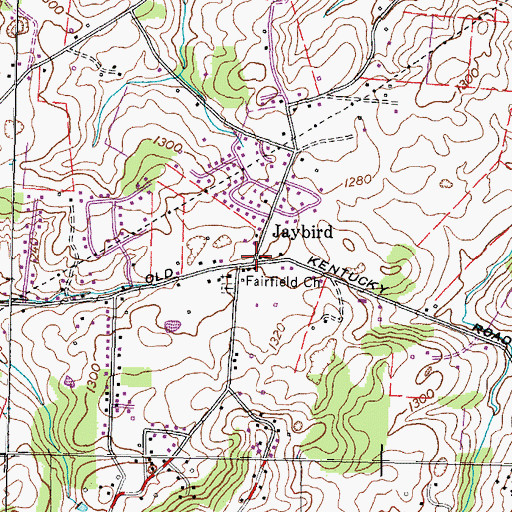 Topographic Map of Jaybird, TN