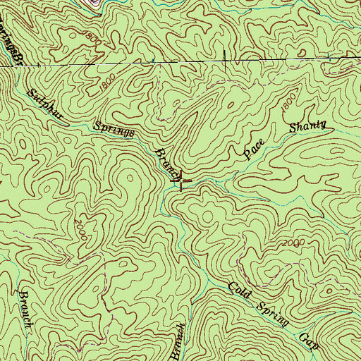 Topographic Map of Jenkins Grave Branch, TN