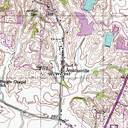 Topographic Map of Jenkinsville, TN