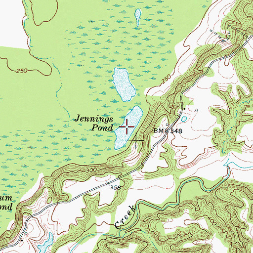 Topographic Map of Jennings Pond, TN