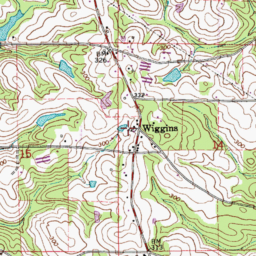Topographic Map of Wiggins, AL
