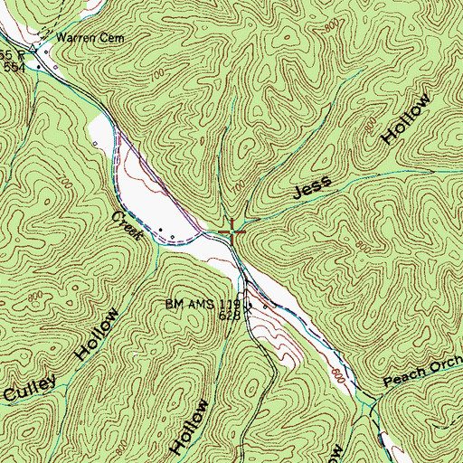 Topographic Map of Jess Hollow, TN