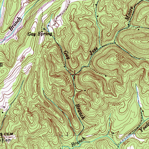 Topographic Map of Jess Moore Branch, TN