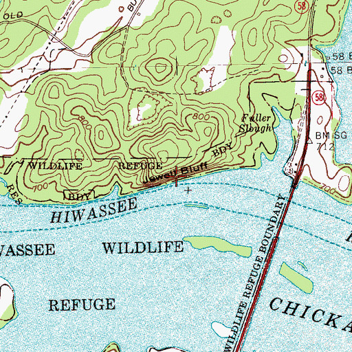 Topographic Map of Jewell Bluff, TN