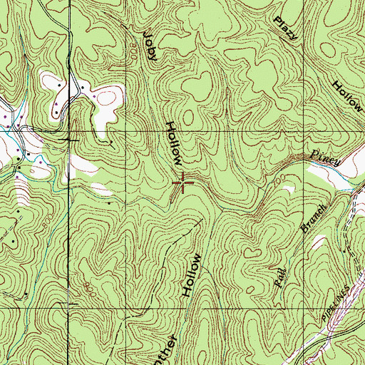 Topographic Map of Joby Hollow, TN