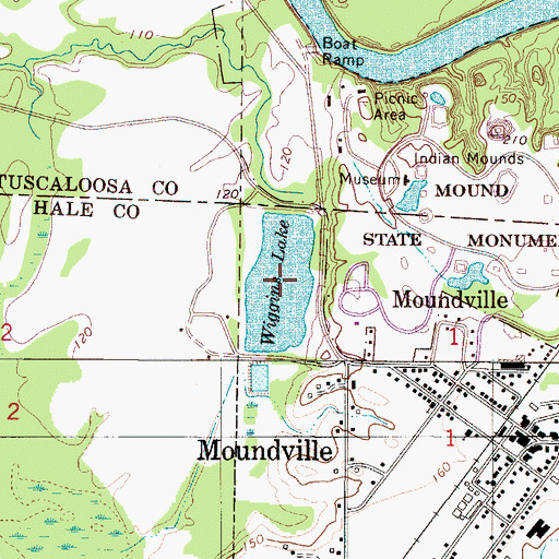 Topographic Map of Wiggins Lake, AL