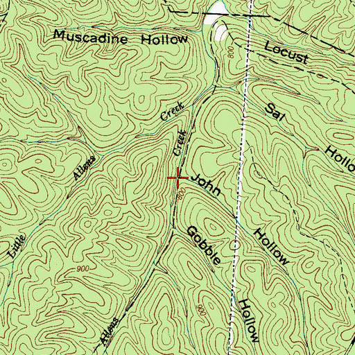 Topographic Map of John Hollow, TN
