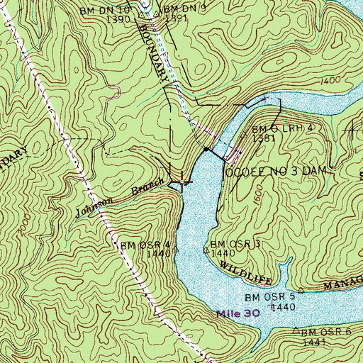 Topographic Map of Johnson Branch, TN