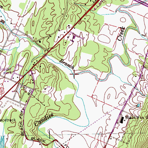 Topographic Map of Johnson Branch, TN