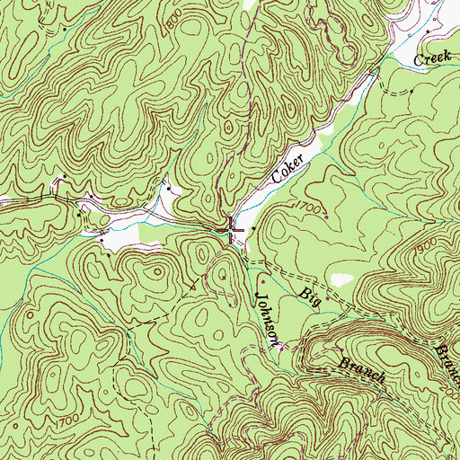 Topographic Map of Johnson Branch, TN