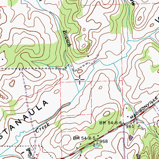 Topographic Map of Johnson Branch, TN