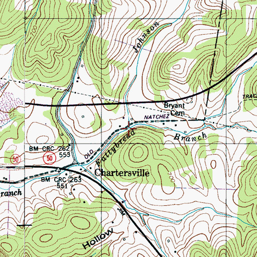 Topographic Map of Johnson Branch, TN