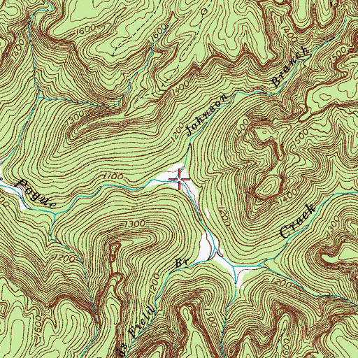 Topographic Map of Johnson Branch, TN