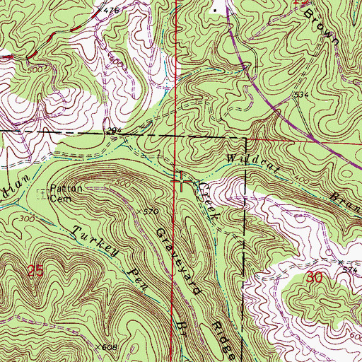 Topographic Map of Wildcat Branch, AL