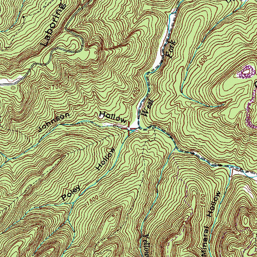 Topographic Map of Johnson Hollow, TN