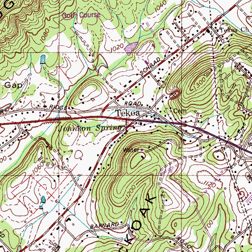 Topographic Map of Johnson Spring, TN