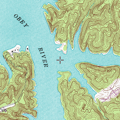 Topographic Map of Jolly Creek, TN