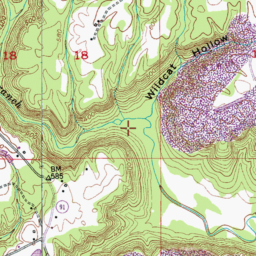 Topographic Map of Wildcat Hollow, AL