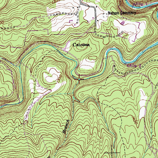 Topographic Map of Jones Branch, TN