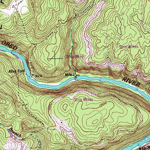 Topographic Map of Jones Branch, TN