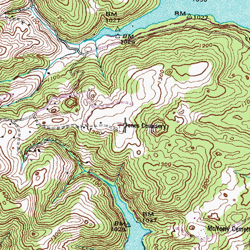 Topographic Map of Jones Cemetery, TN