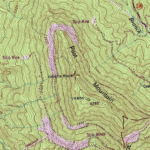 Topographic Map of Julians Rock, TN