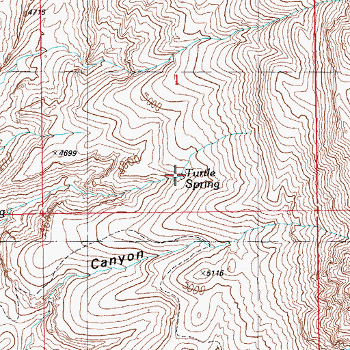 Topographic Map of Turtle Spring, AZ