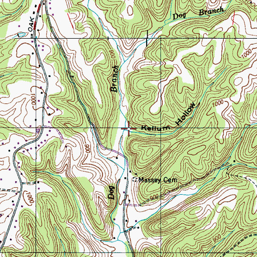 Topographic Map of Kellum Hollow, TN