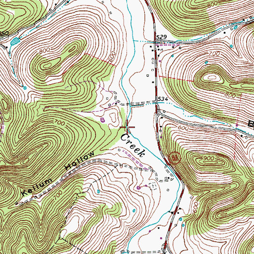 Topographic Map of Kellum Hollow, TN