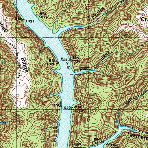 Topographic Map of Kelly Hollow, TN