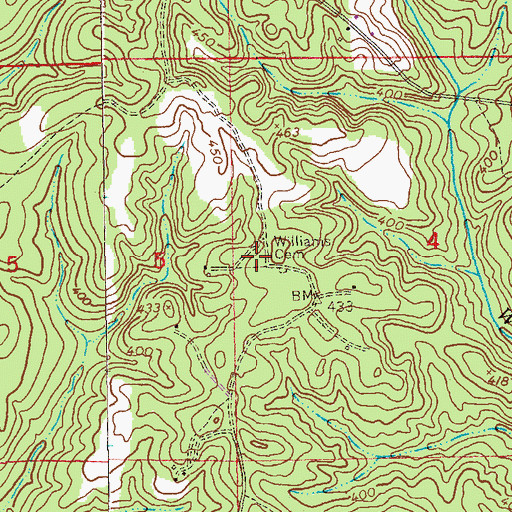 Topographic Map of Williams Cemetery, AL