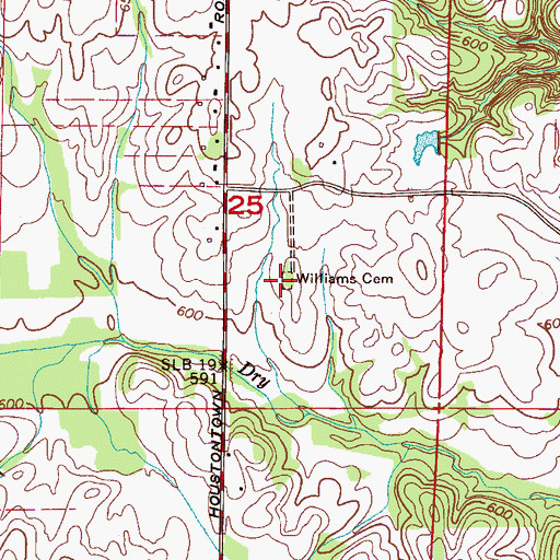 Topographic Map of Williams Cemetery, AL