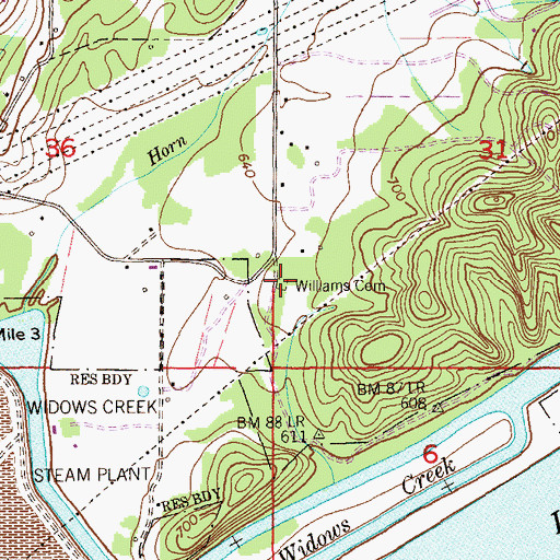 Topographic Map of Williams Cemetery, AL