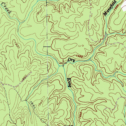 Topographic Map of King Branch, TN
